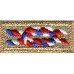 Eagle Scout Knot icon