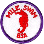 Mile Swim BSA Award